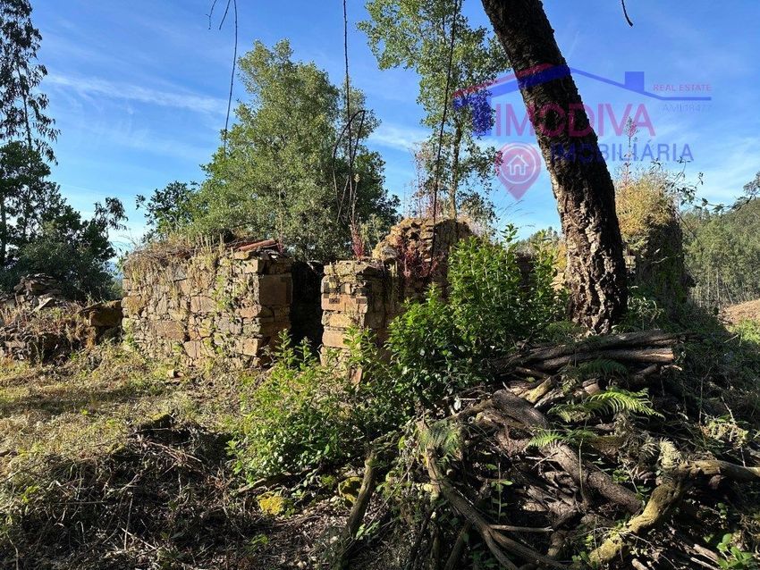 Moradia T2 à venda em Pedrógão Pequeno, Sertã — foto 36