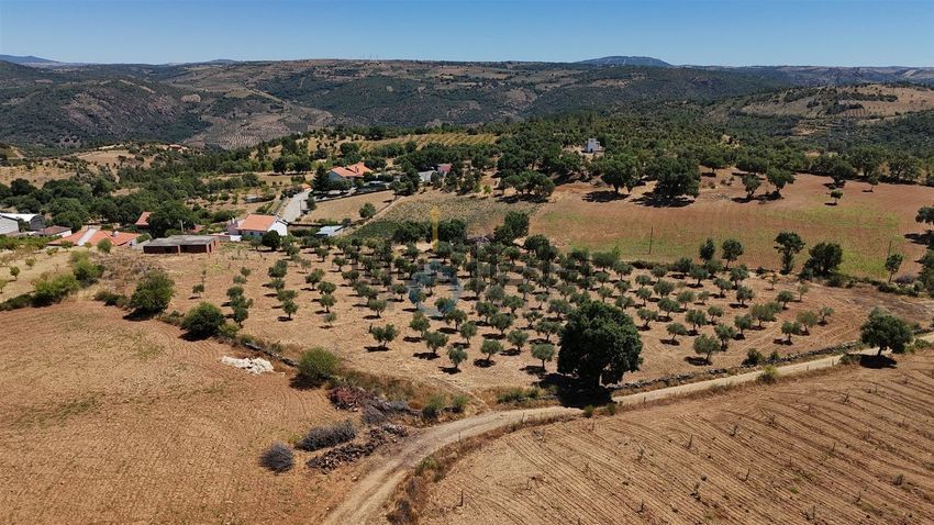 Moradia T4 à venda em Castro Vicente, Mogadouro — foto 28