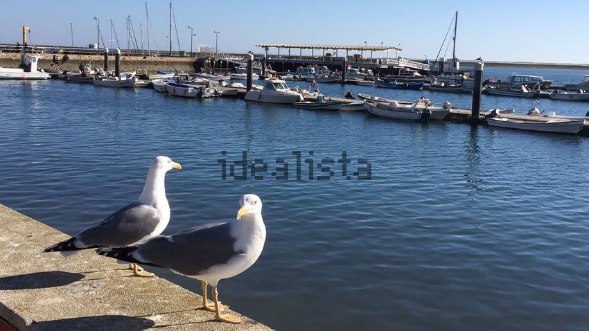 Moradia T6+ à venda em Quelfes, Olhão — foto 37