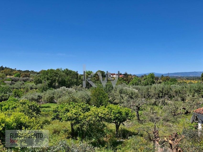 Moradia T5 à venda em Meimoa, Penamacor — foto 29