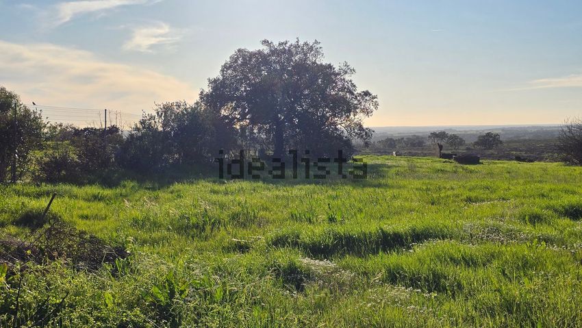 Moradia T2 à venda em Foros de Vale de Figueira, Montemor-o-Novo — foto 40