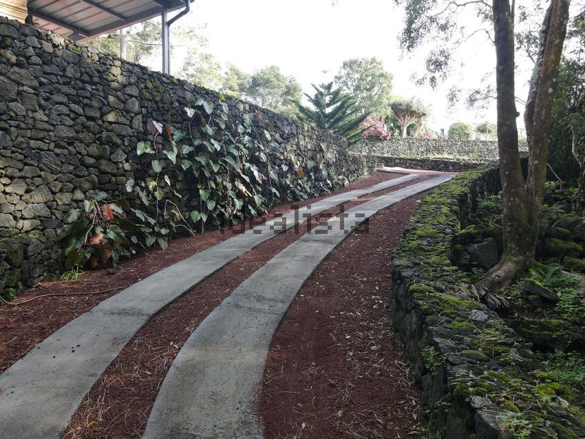 Moradia T2 à venda em Candelária, Madalena — foto 23