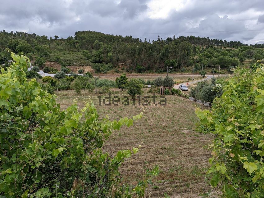 Moradia T0 à venda em Aldeia do Mato e Souto, Abrantes — foto 12