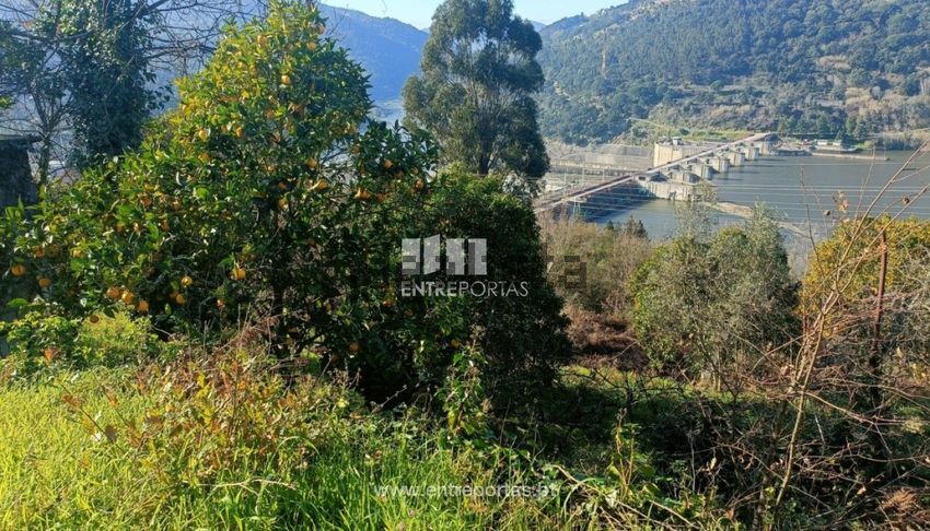 Moradia T2 à venda em São Cristóvão de Nogueira, Cinfães — foto 36