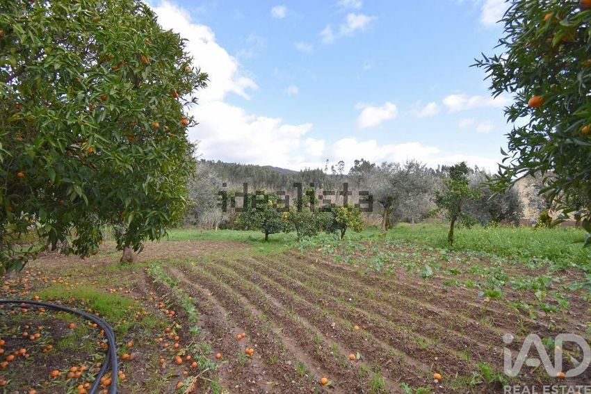 Moradia T3 à venda em Cumeeira, Penela — foto 24