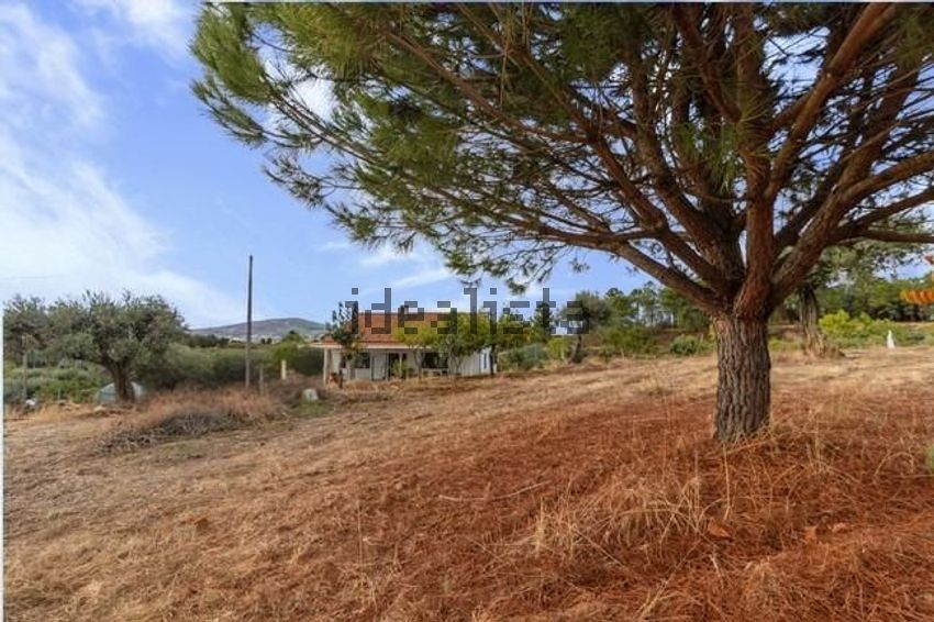 Moradia T4 à venda em Alcaria, Fundão — foto 8