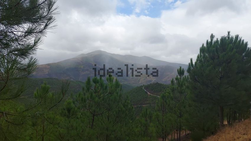 Moradia T3 à venda em São Gião, Oliveira do Hospital — foto 33
