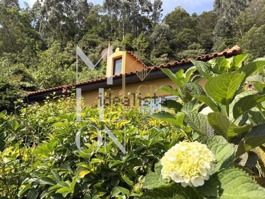Moradia T2 à venda em Santo António da Serra, Machico — foto 28