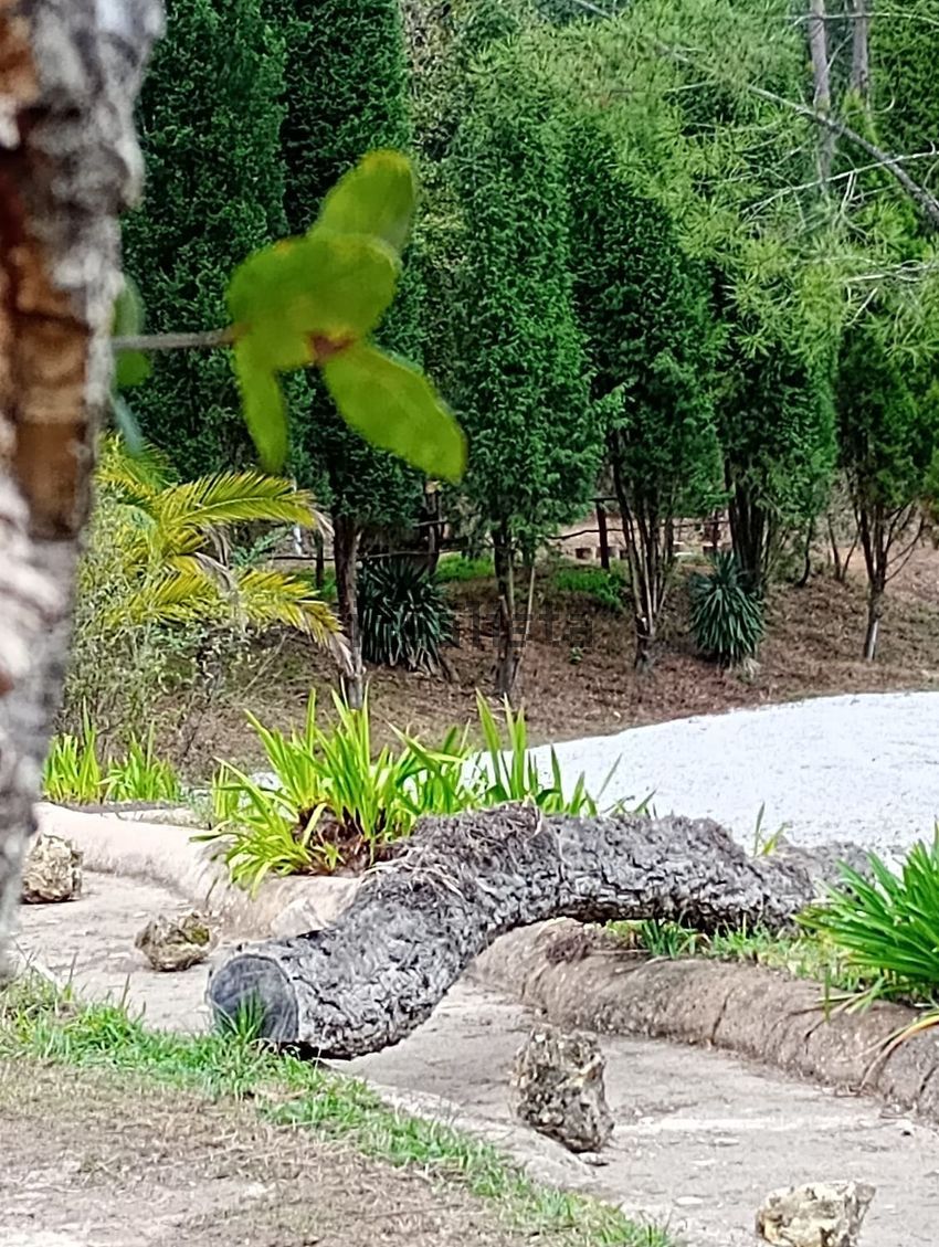 Moradia T6+ à venda em Sangalhos, Anadia — foto 10