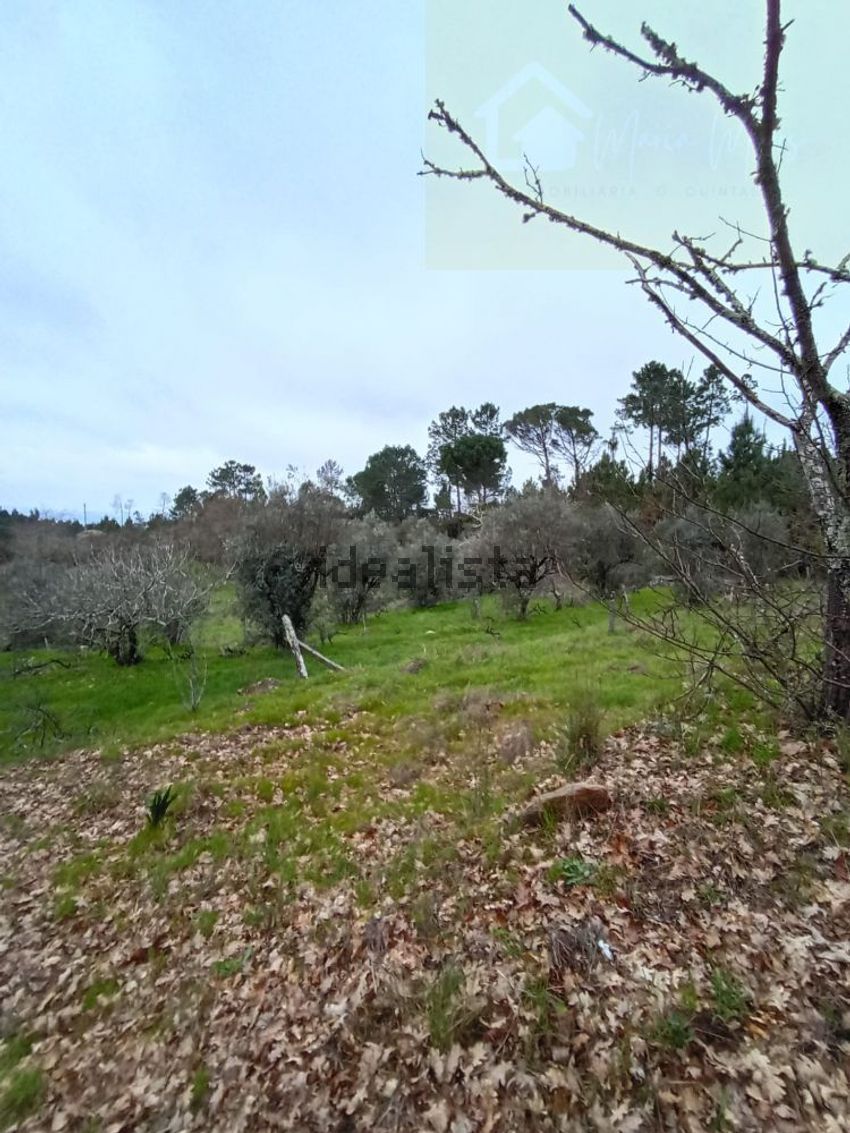 Moradia T2 à venda em Quintela de Azurara, Mangualde — foto 21