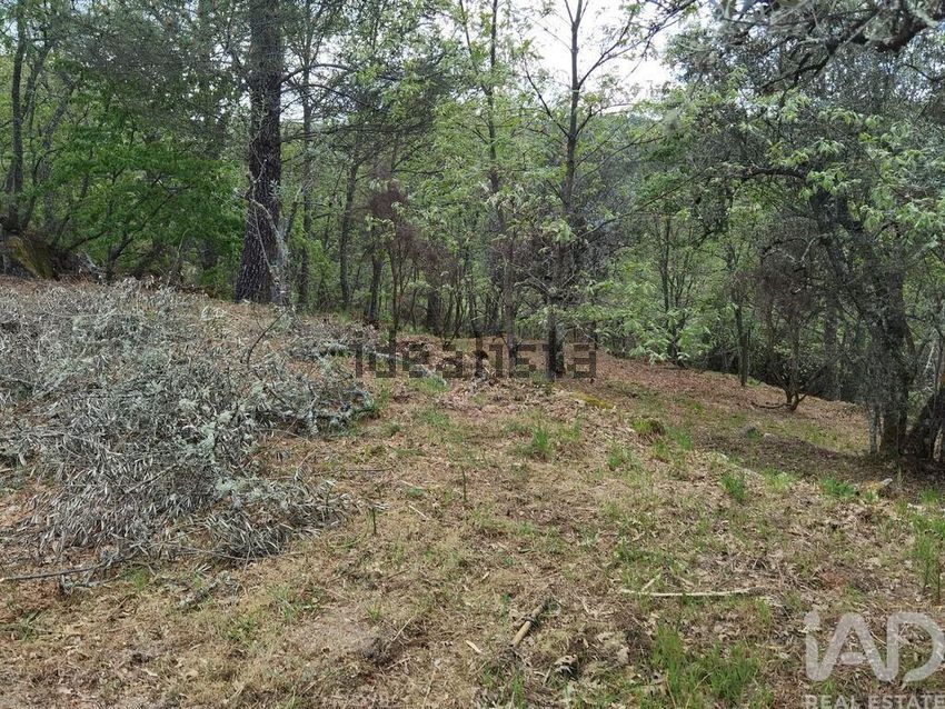 Moradia T2 à venda em Aldeias e Mangualde da Serra, Gouveia — foto 11