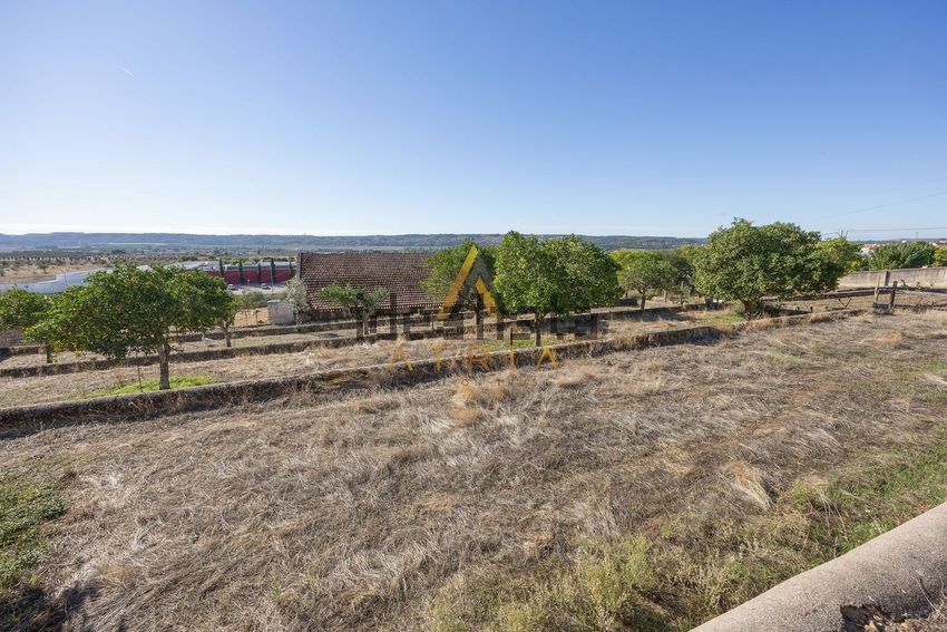 Moradia T5 à venda em Montalvo, Constância — foto 21