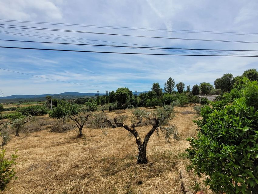 Moradia T4 à venda em Pêro Viseu, Fundão — foto 15