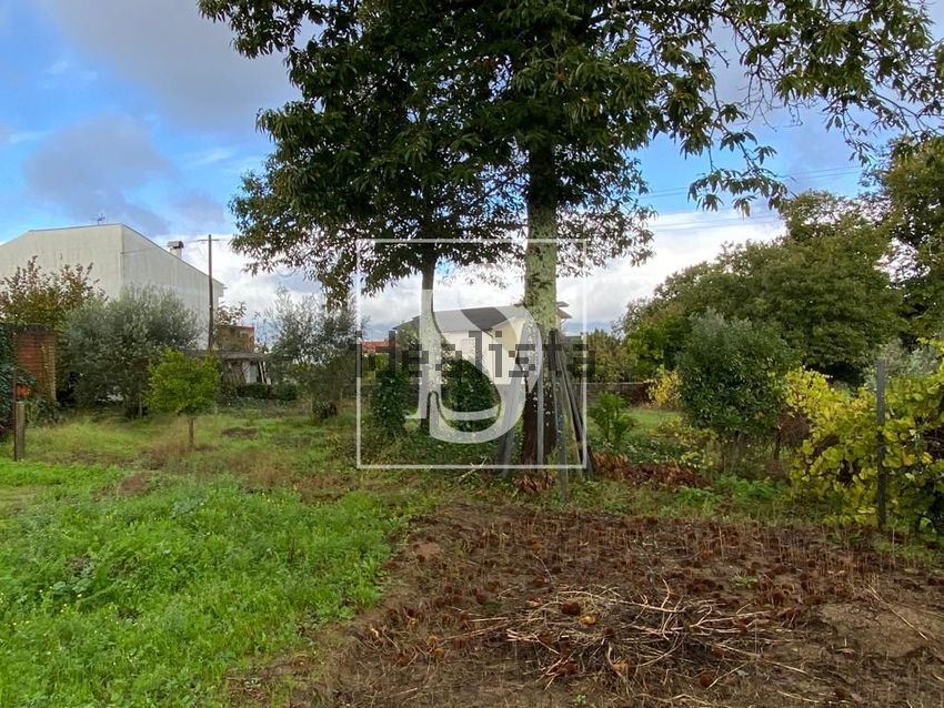 Moradia T1 à venda em Tondela e Nandufe, Tondela — foto 22