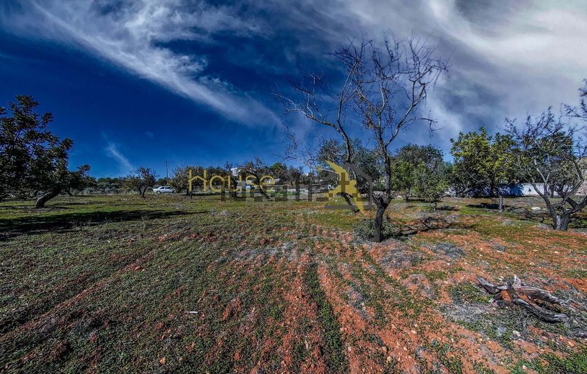 Moradia T3 à venda em Estoi, Faro — foto 39