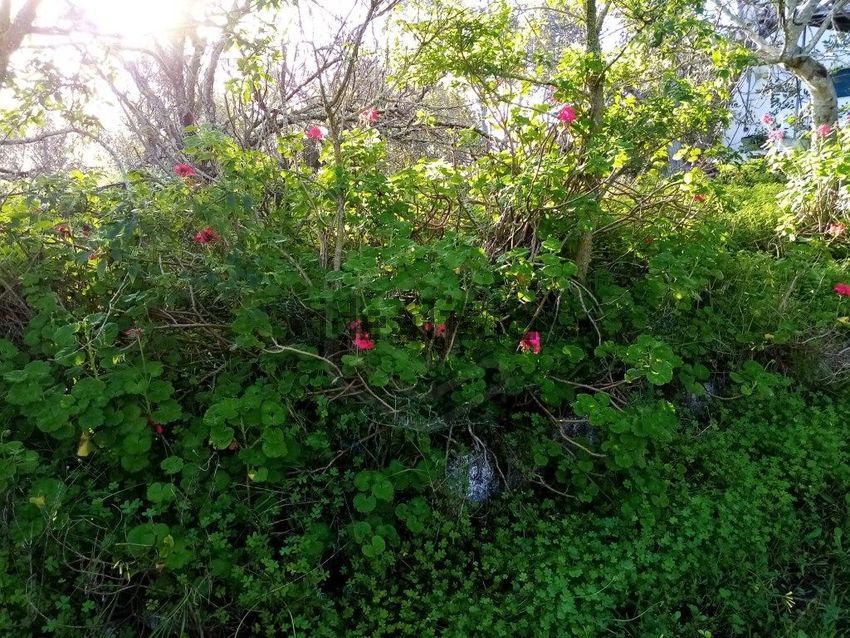 Moradia T1 à venda em Quarteira, Loulé — foto 30