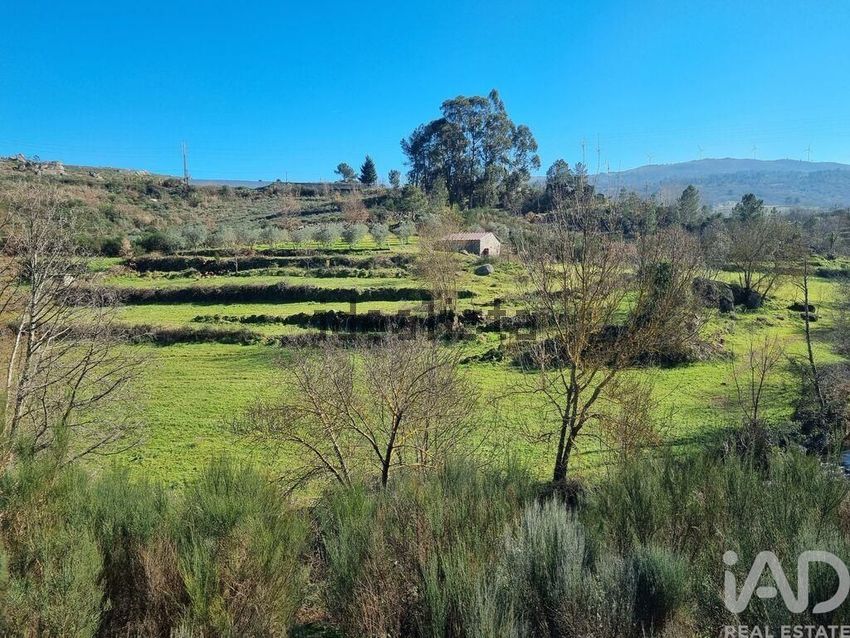 Moradia T0 à venda em Cortiçô da Serra, Vide Entre Vinhas e Salgueirais, Celorico da Beira — foto 15