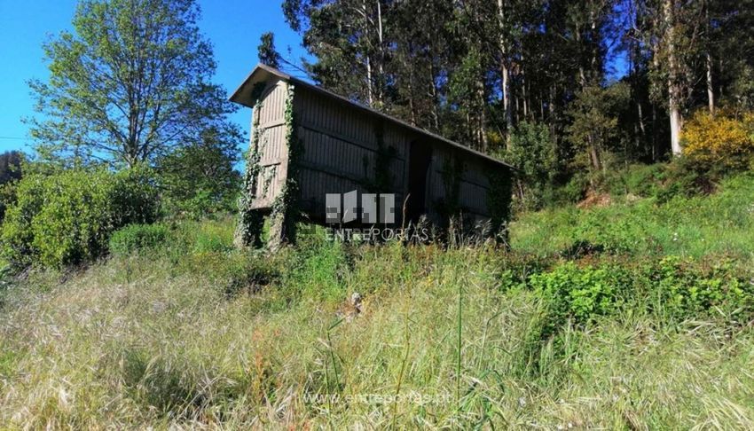 Moradia T1 à venda em Mentrestido, Vila Nova de Cerveira — foto 8