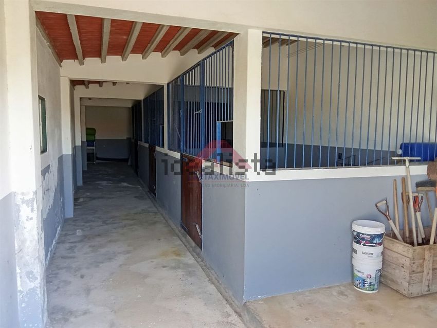 Moradia T4 à venda em Branca, Coruche — foto 15