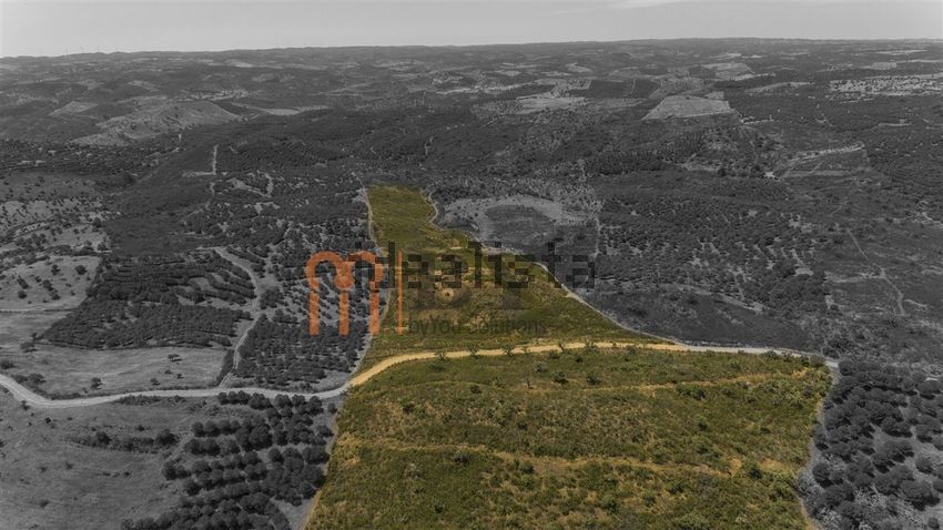 Moradia T0 à venda em Martim Longo, Alcoutim — foto 27