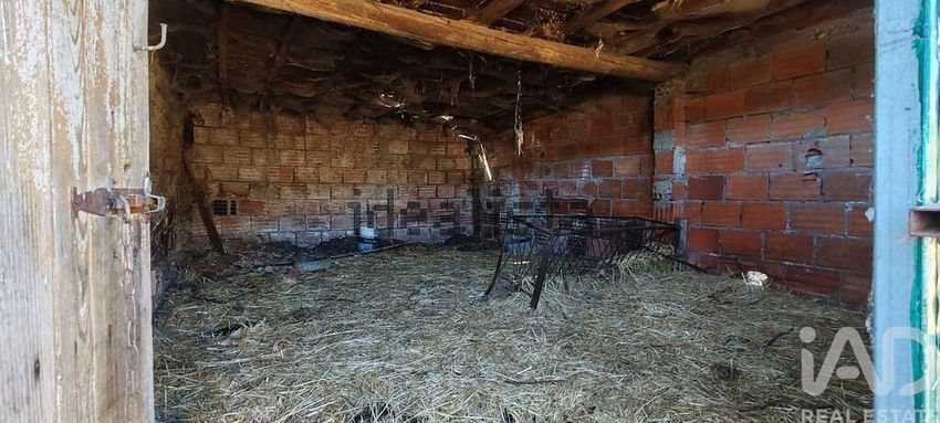 Moradia T3 à venda em Proença-a-Nova e Peral, Proença-a-Nova — foto 38
