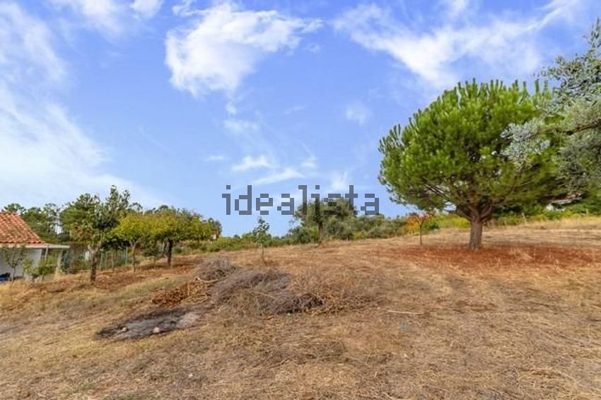 Moradia T4 à venda em Alcaria, Fundão — foto 15