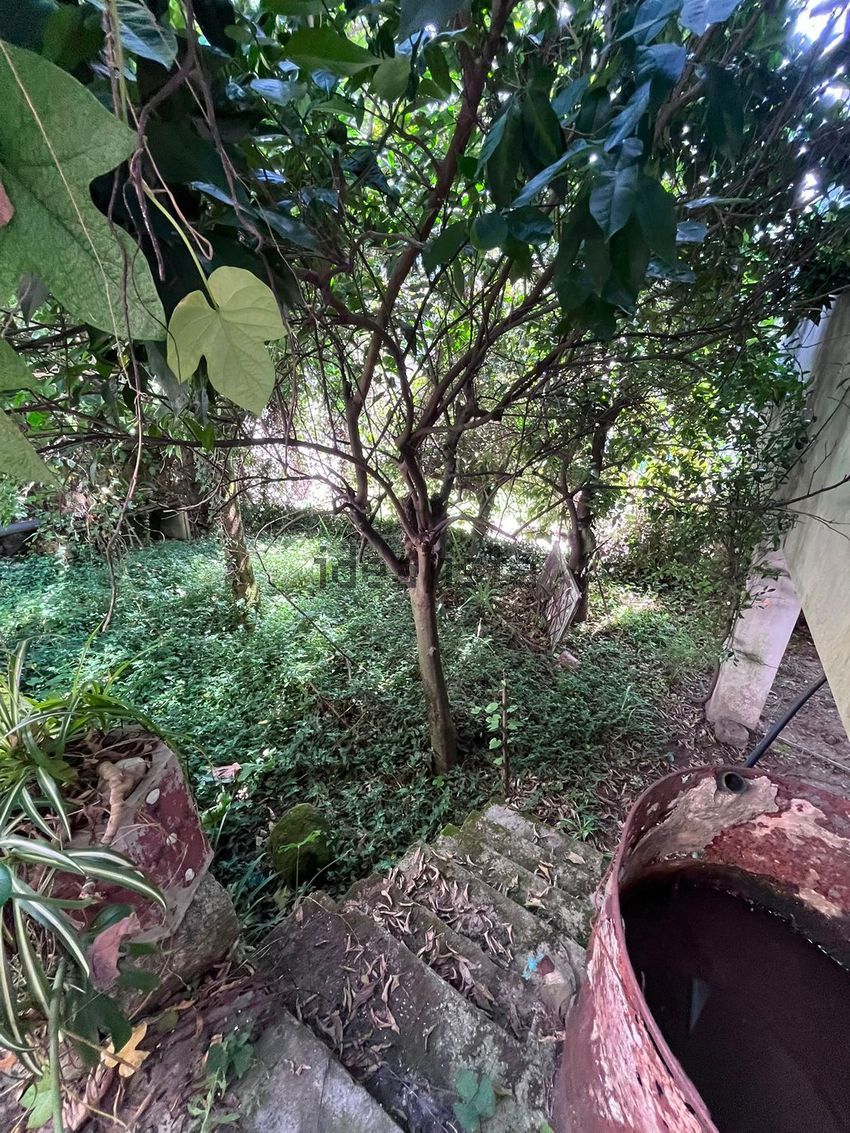 Moradia T6+ à venda em Caldelas, Sequeiros e Paranhos, Amares — foto 27