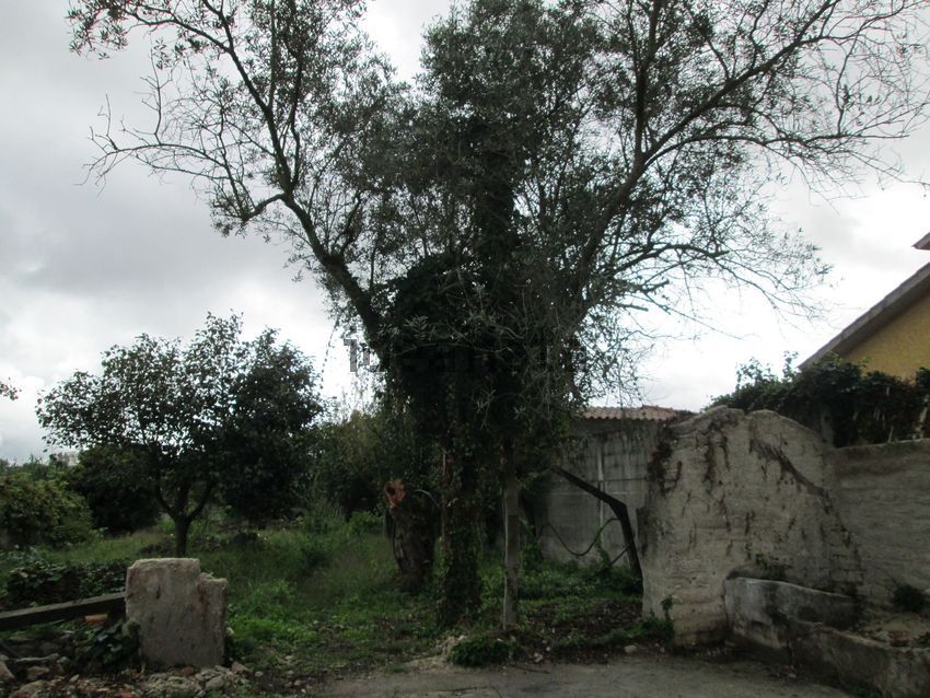 Moradia T4 à venda em Seixo, Mira — foto 8