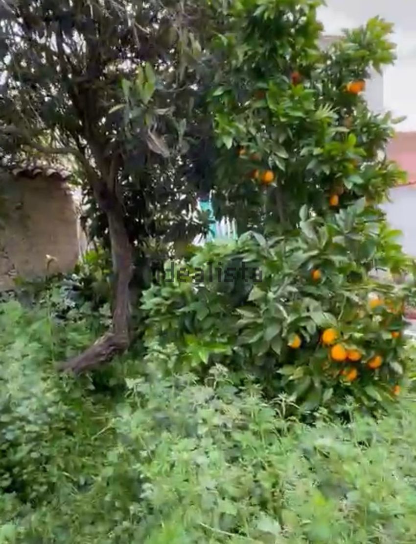 Moradia T2 à venda em Chancelaria, Alter do Chão — foto 4