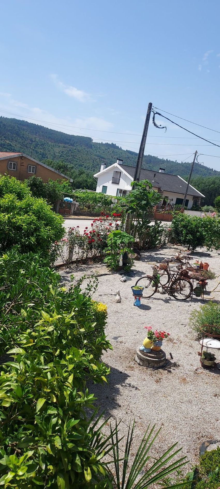 Moradia T6+ à venda em Canas de Senhorim, Nelas — foto 6