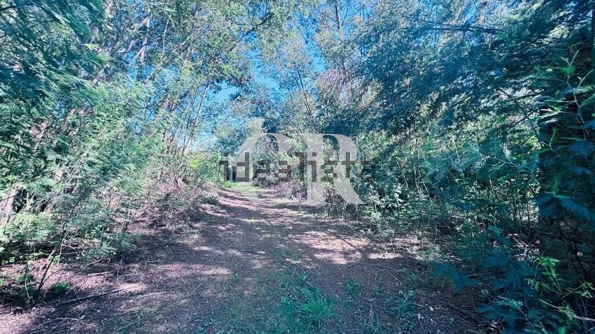 Moradia T1 à venda em Vila Facaia, Pedrógão Grande — foto 2
