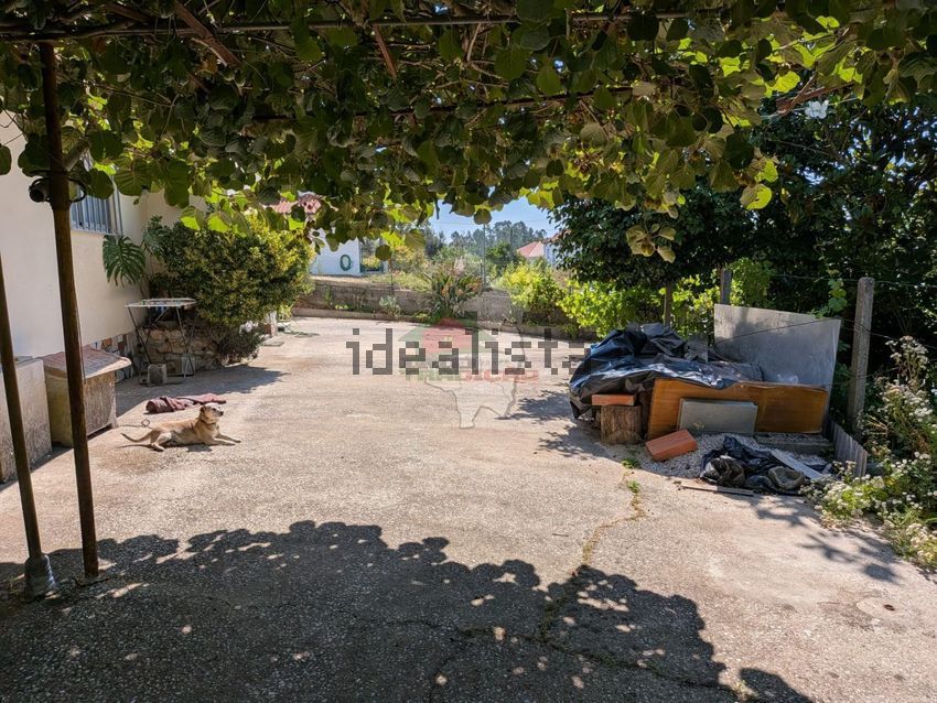 Moradia T4 à venda em Cernache do Bonjardim, Nesperal e Palhais, Sertã — foto 5