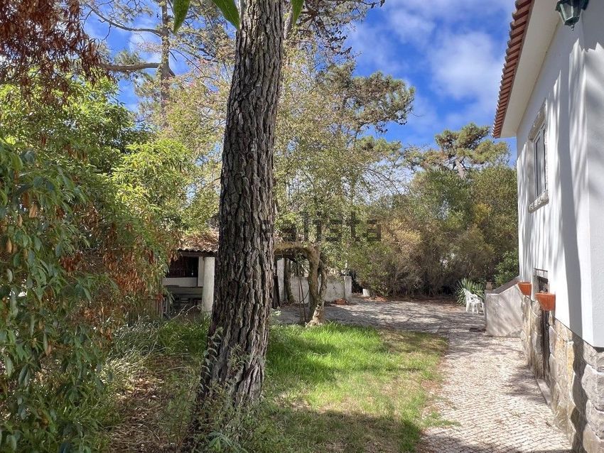 Moradia T4 à venda em Colares, Sintra — foto 5