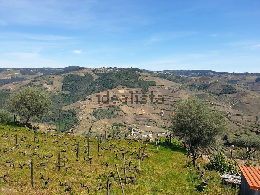 Moradia T4 à venda em Nogueira e Ermida, Vila Real — foto 6