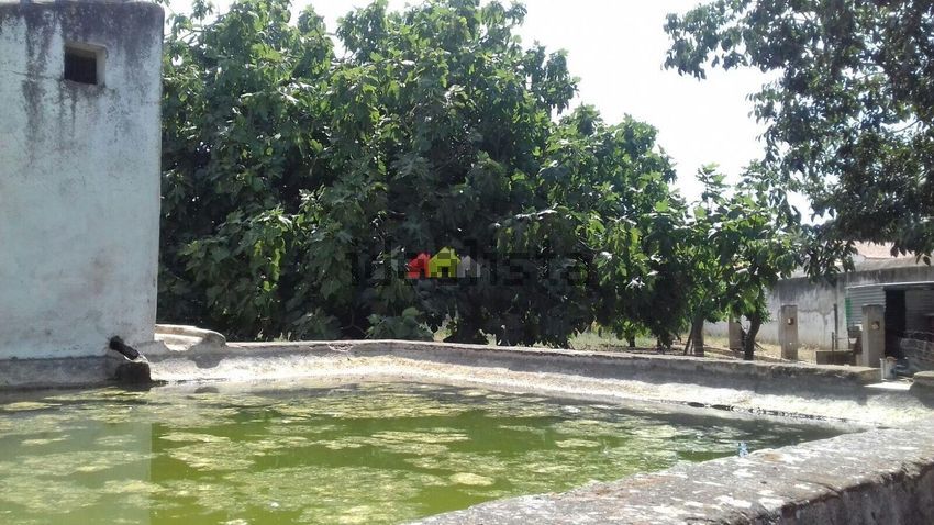 Moradia T6+ à venda em Serpa (Salvador e Santa Maria), Serpa — foto 39