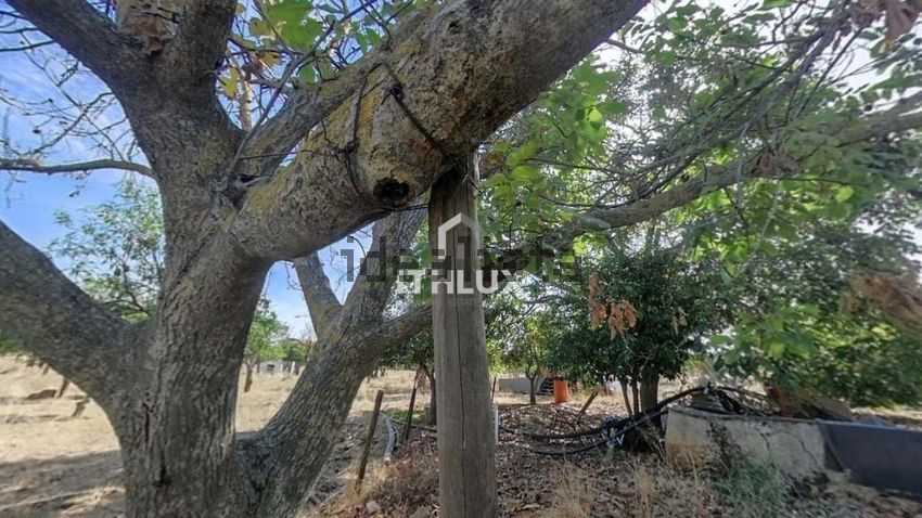 Moradia T2 à venda em São Brás e São Lourenço, Elvas — foto 15