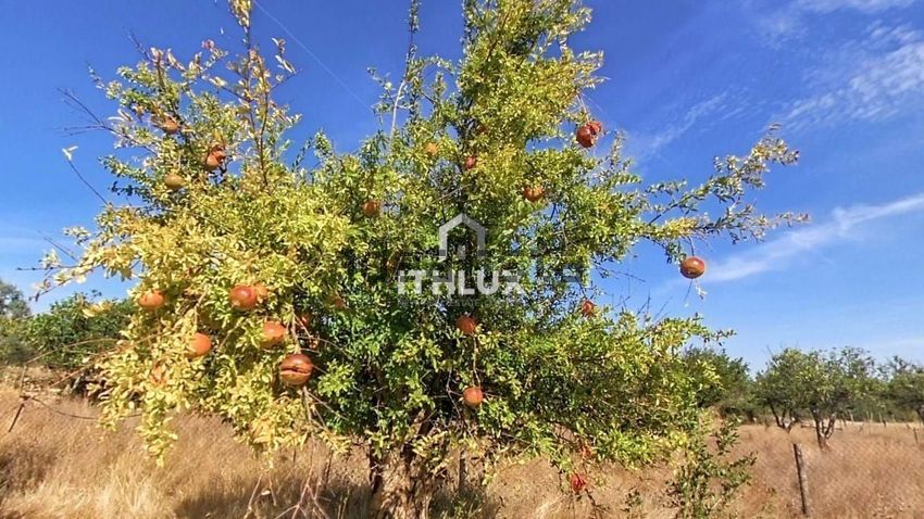 Moradia T2 à venda em São Brás e São Lourenço, Elvas — foto 18