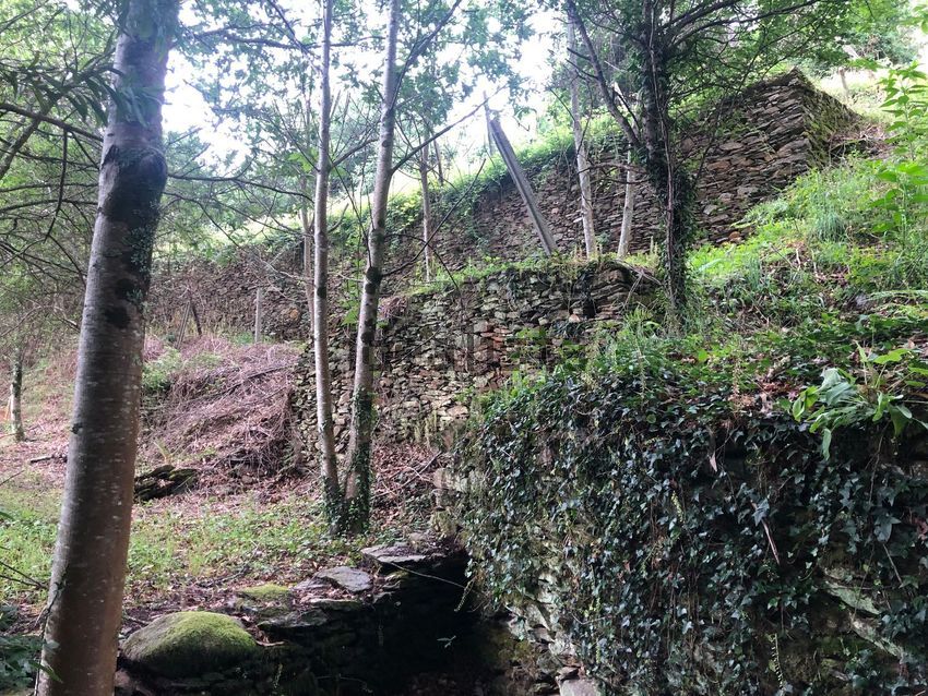 Moradia T2 à venda em Ribeira de Fráguas, Albergaria-a-Velha — foto 28