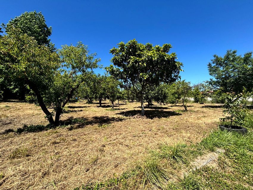 Moradia T5 à venda em Airães, Felgueiras — foto 36
