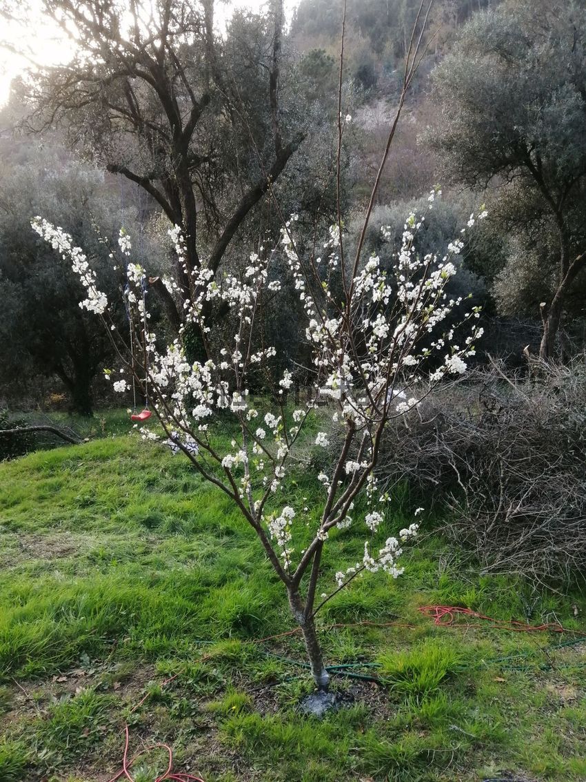 Moradia T2 à venda em Távora (Santa Maria e São Vicente), Arcos de Valdevez — foto 26