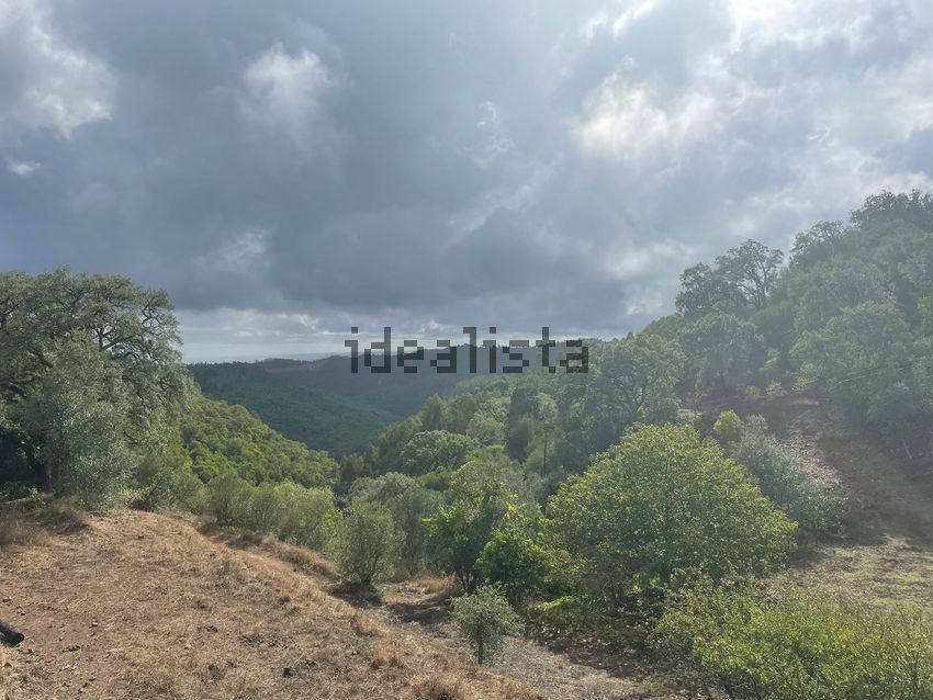 Moradia T2 à venda em Marmelete, Monchique — foto 11