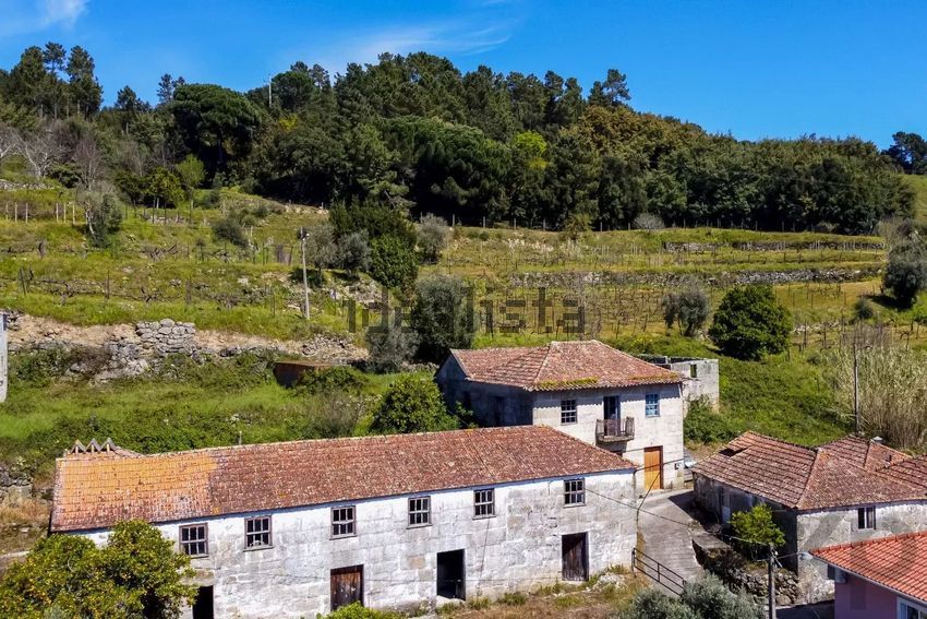 Moradia T6+ à venda em Santa Cruz do douro e São Tomé de Covelas, Baião — foto 6