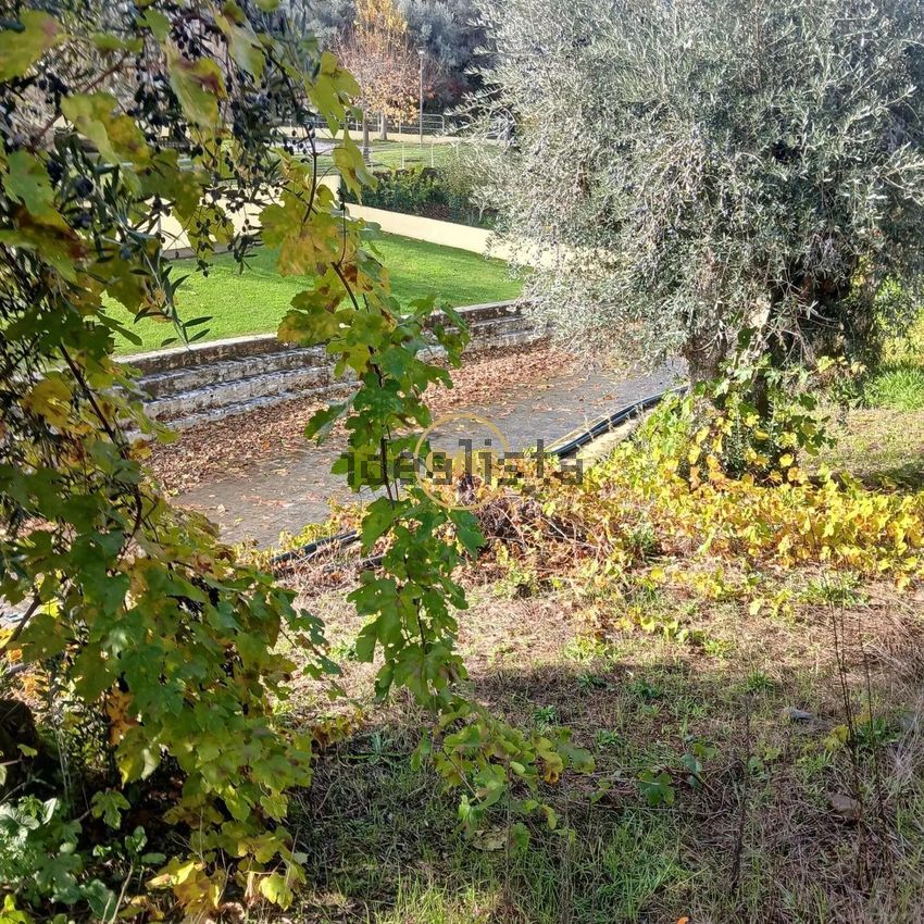 Moradia T3 à venda em dornelas do Zêzere, Pampilhosa da Serra — foto 9