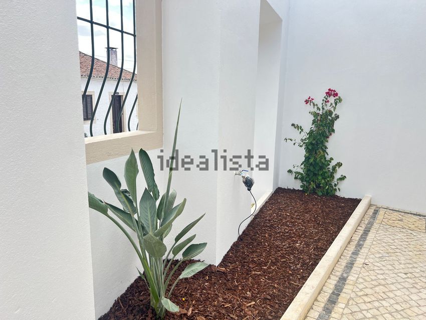 Moradia T4 à venda em Golegã, Golegã — foto 4