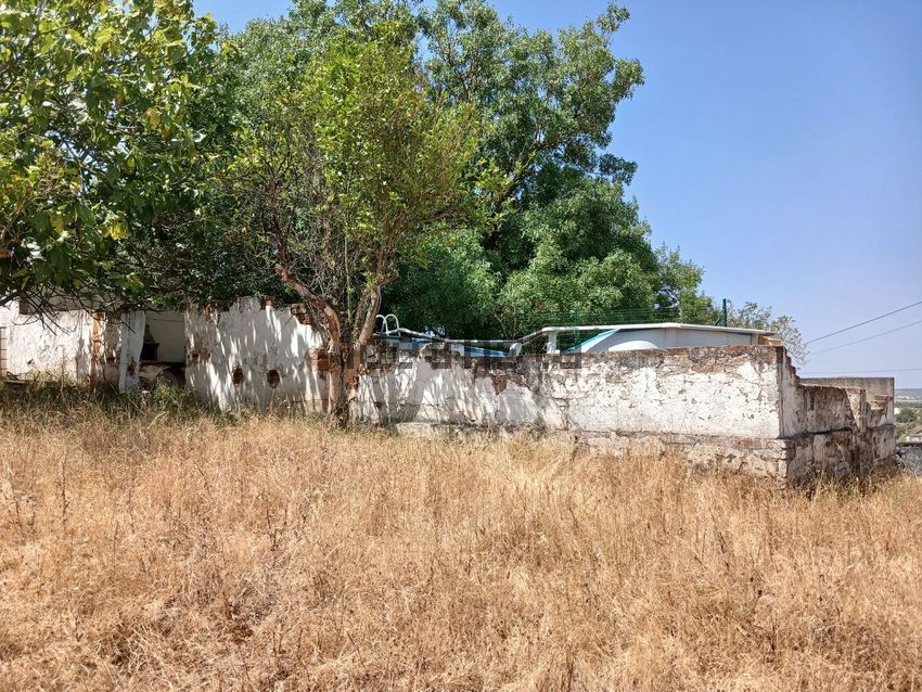 Moradia T4 à venda em Figueira e Barros, Avis — foto 34
