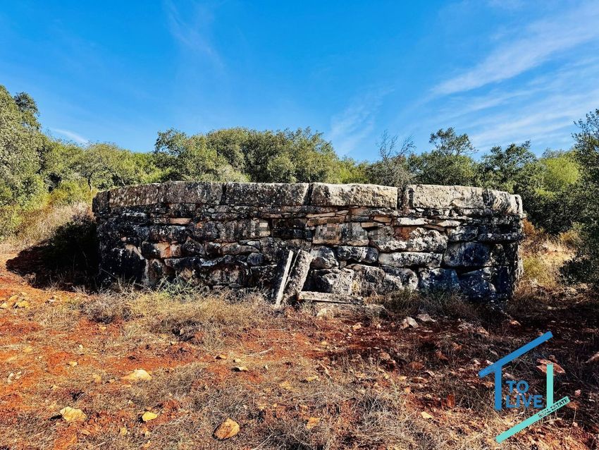 Moradia T5 à venda em Além da Ribeira e Pedreira, Tomar — foto 36