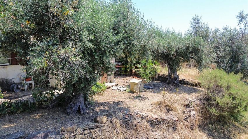 Moradia T3 à venda em Sarzedas, Castelo Branco — foto 15