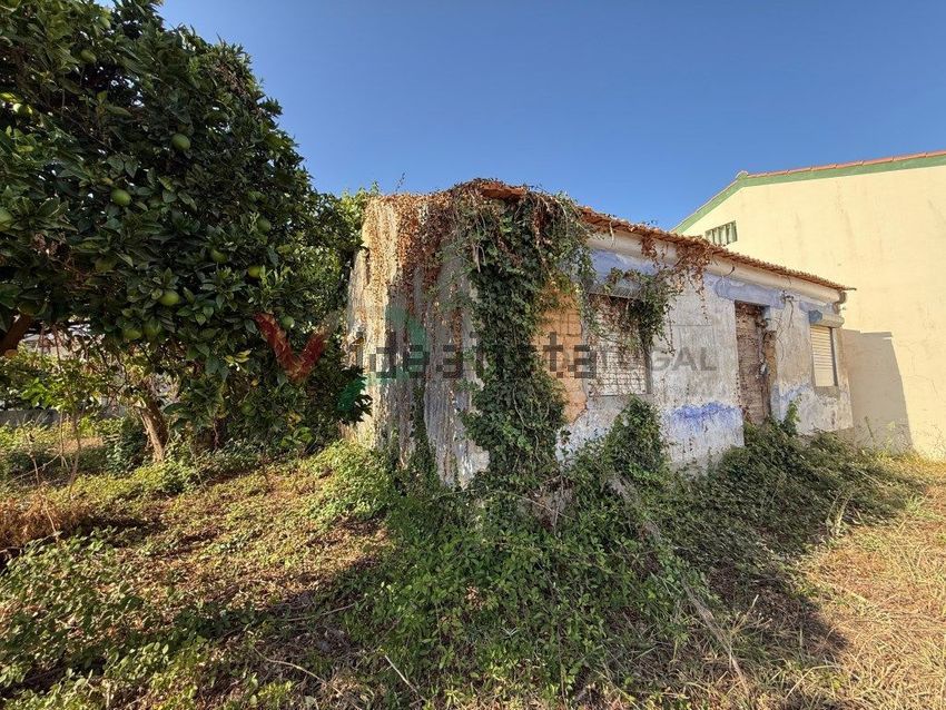 Moradia T1 à venda em Sangalhos, Anadia — foto 4