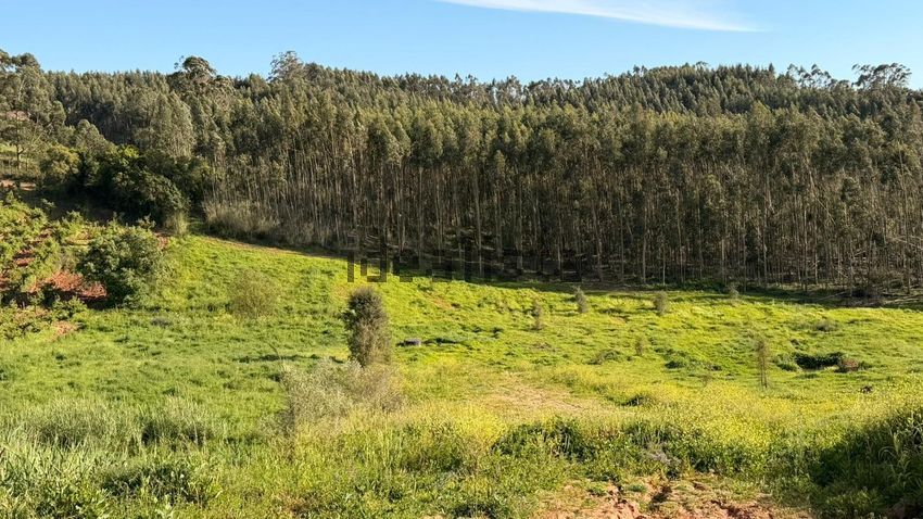 Moradia T3 à venda em Cadaval e Pêro Moniz, Cadaval — foto 18