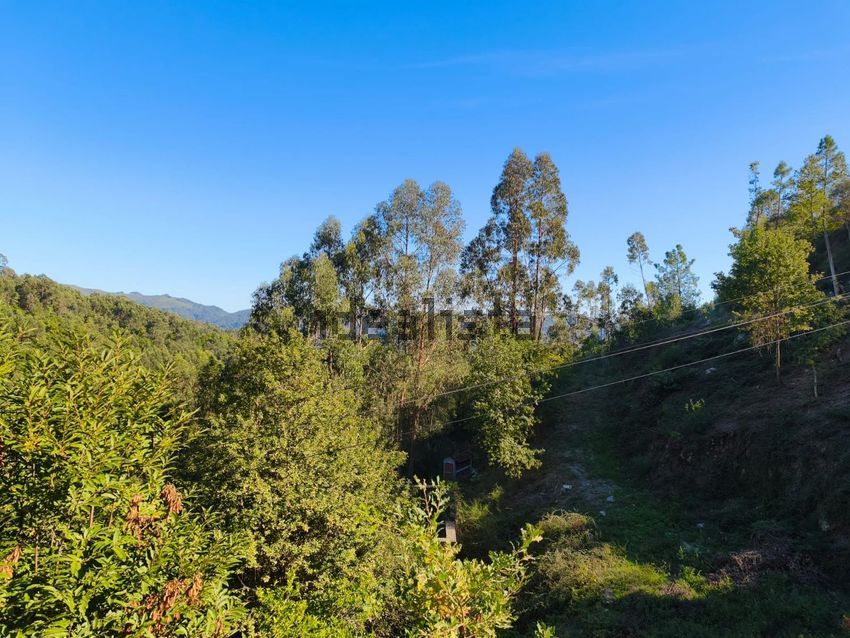 Moradia T6+ à venda em Sande, Vilarinho, Barros e Gomide, Vila Verde — foto 13